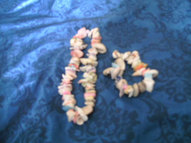collier coquillage